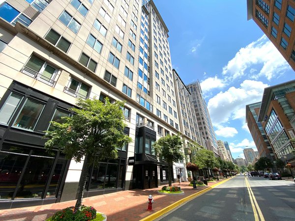 Décorez vos murs avec un magnifique crochet mural